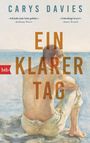 Carys Davies: Ein klarer Tag, Buch
