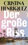 Cristina Henríquez: Der große Riss, Buch