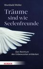 Buch: "Träume sind wie Seelenfreunde" von Wunibald Müller. Weiße Taubenflügel auf dunklem Hintergrund.
