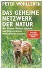 Peter Wohlleben: Das geheime Netzwerk der Natur, Buch