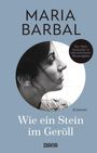Maria Barbal: Wie ein Stein im Geröll, Buch