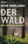 Peter Wohlleben: Der Wald, Buch
