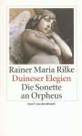 Rainer Maria Rilke: Duineser Elegien / Die Sonette an Orpheus, Buch
