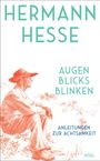 HERMANN HESSE
AUGEN
BLICKS
BLINKEN
ANLEITUNGEN
ZUR ACHTSAMKEIT
Illustration: Mann mit Hut sitzt und denkt nach.