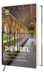 : Bibel mit spirituellen Zusatzseiten, Buch