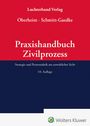 Rainer Oberheim: Praxishandbuch Zivilprozess, Buch