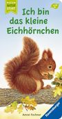 Amrei Fechner: Ich bin das kleine Eichhörnchen, Buch