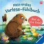 Kathrin Lena Orso: Mein erstes Vorlese-Fühlbuch: Bist du eine Ente?, Buch