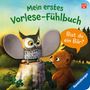 Kathrin Lena Orso: Mein erstes Vorlese-Fühlbuch - Bist du ein Bär?, Buch