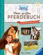 Angela Waidmann: Dreamworks Spirit Wild und Frei: Mein großes Pferdebuch, Buch