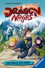 Michael Petrowitz: Dragon Ninjas, Band 1 - Der Drache der Berge, Buch