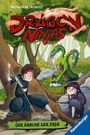 Michael Petrowitz: Dragon Ninjas, Band 4 - Der Drache der Erde, Buch