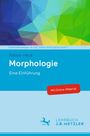 Fabian Heck: Morphologie, Buch