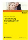 Ulrich Gerke: Fallsammlung Bilanzsteuerrecht, Buch,Div.
