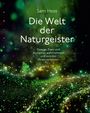 Sam Hess: Die Welt der Naturgeister, Buch