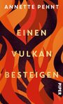 Annette Pehnt: Einen Vulkan besteigen, Buch