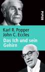 Karl R. Popper: Das Ich und sein Gehirn, Buch