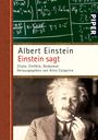 Albert Einstein: Einstein sagt, Buch