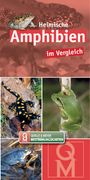 : Heimische Amphibien im Vergleich, Buch