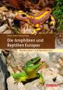 Dieter Glandt: Die Amphibien & Reptilien Europas, Buch