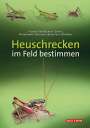Jürgen Fischer: Heuschrecken im Feld bestimmen, Buch