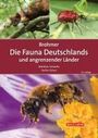 : Brohmer - Die Fauna Deutschlands und angrenzender Länder, Buch