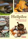 "Heilpilze: finden, bestimmen und richtig verwenden" von Jürgen Guthmann und Ruth Zick. Verschiedene Pilzarten.