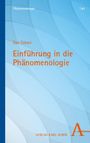 „Einführung in die Phänomenologie“ von Dan Zahavi. Blaue Töne, mit Verlag Karl Alber Logo und Schriftzug darauf.