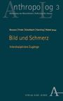 AnthropoLog 3. Bild und Schmerz: Interdisziplinäre Zugänge. Herausgeber: Bozzaro, Frede, Kieselbach, Koesling, Wabel. Verlag Karl Alber.