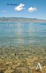 Ute Guzzoni: Zuweilen nichts Besonderes, Buch
