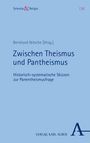 : Zwischen Theismus und Pantheismus, Buch
