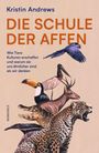 Buchtitel: "Die Schule der Affen" von Kristin Andrews. Illustration von verschiedenen Tieren übereinander gestapelt.
