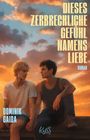 Text: "DIESES ZERBRECHLICHE GEFÜHL NAMENS LIEBE" "DOMINIK GAIDA" "ROMAN" "kyss". Zwei Männer sitzen bei Sonnenuntergang.