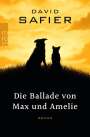 David Safier: Die Ballade von Max und Amelie, Buch