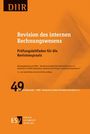 Orangefarbene Buchseite mit Text: "Revision des internen Rechnungswesens", "Prüfungsleitfaden", "DIIR", Logo und Nr. 49.