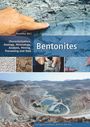 : Bentonites, Buch