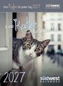„Eine Katze für jeden Tag 2027“, „südwest Kalender“. Ein neugieriger Blick einer Katze mit getigertem Fell.