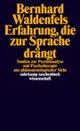 Bernhard Waldenfels: Erfahrung, die zur Sprache drängt, Buch