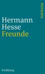 Hermann Hesse: Freunde, Buch