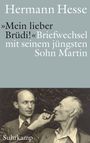 Hermann Hesse: »Mein lieber Brüdi!«, Buch