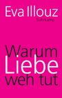 Eva Illouz: Warum Liebe weh tut, Buch