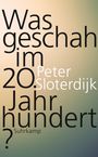 Peter Sloterdijk: Was geschah im 20. Jahrhundert?, Buch