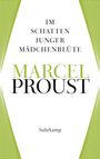 Marcel Proust: Werke. Frankfurter Ausgabe, Buch