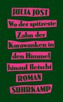 Julia Jost: Wo der spitzeste Zahn der Karawanken in den Himmel hinauf fletscht, Buch