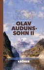 „Sigrid Undset, Olav Audunssønn II, Roman; übersetzt von Gabriele Haefs, Kröner.“ Eine Berglandschaft mit See.
