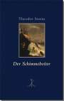 Theodor Storm: Der Schimmelreiter, Buch