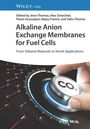 : Alkaline Anion Exchange Membranes for Fuel Cells, Buch