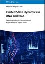 Excited State Dynamics in DNA and RNA, Buch