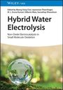 Hybrid Water Electrolysis, Buch