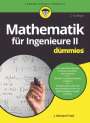 J. Michael Fried: Mathematik für Ingenieure II für Dummies, Buch